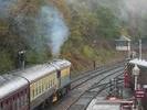 33019 at Shackerstone