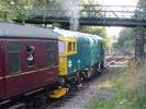 33063 at Groombridge