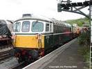 33110 at Buckfastleigh