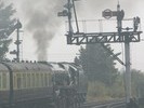 34036
