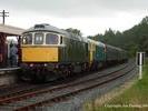 33052 and 33065 at Bodiam