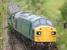 40135 at Ropley