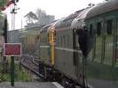 33208 and 33201 at Ropley