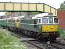 33208 and 33201 at Ropley