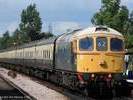 Williton