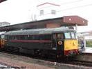 33202