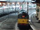 33202 and 33103