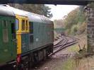 33065 at Groombridge