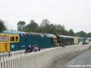 Cheddleton