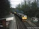 Wadhurst