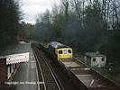 Wadhurst