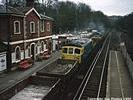 Wadhurst