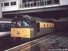 Waterloo, 25th October 1992