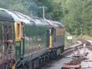 50007+33201