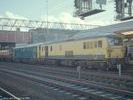 Crewe