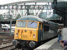 01-56006-paddington