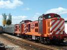 1458 and 1446 at Castelo Novo