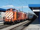 1446 and 1458 at Villar Formoso