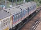 Paddock Wood
