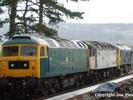 47105, 47376 and 24081 at Cheltenham
