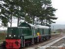 D9539 and 20137 at Cheltenham