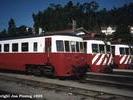 Lineup of diesel railcars at Sernada do Vouga